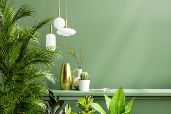 Tendances déco 2024 : la tendance nature biophilie pour votre intérieur